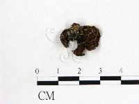 登錄號:F0002044藏品圖，第1張