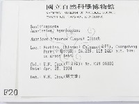 登錄號:F0002045藏品圖，第2張