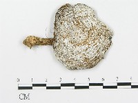 登錄號:F0002045藏品圖，第1張