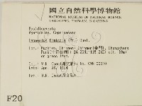 登錄號:F0002046藏品圖，第2張