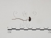 登錄號:F0002046藏品圖，第1張