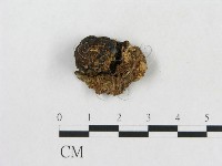 登錄號:F0002047藏品圖，第1張