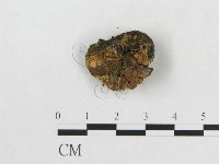 登錄號:F0002047藏品圖，第3張