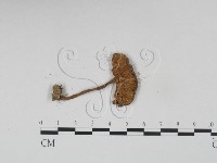 登錄號:F0002048藏品圖，第3張