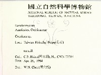 鬼傘屬藏品圖，第2張