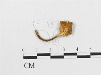 登錄號:F0002051藏品圖，第1張