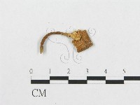 登錄號:F0002051藏品圖，第4張