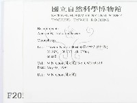 杯傘屬藏品圖，第2張