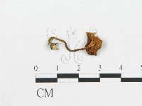 登錄號:F0002057藏品圖，第1張