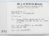 登錄號:F0002059藏品圖，第2張