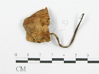 登錄號:F0002059藏品圖，第3張