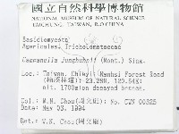 登錄號:F0002061藏品圖，第2張