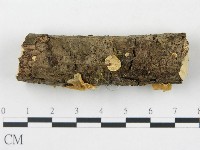 登錄號:F0002061藏品圖，第3張