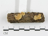 登錄號:F0002061藏品圖，第4張