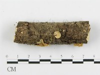 登錄號:F0002061藏品圖，第5張