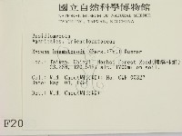 登錄號:F0002063藏品圖，第2張