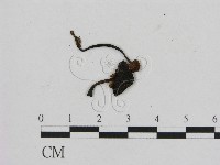 登錄號:F0002063藏品圖，第1張