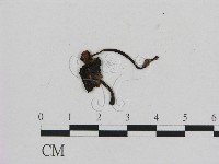 登錄號:F0002063藏品圖，第3張