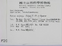 登錄號:F0002064藏品圖，第2張
