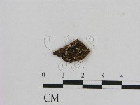 登錄號:F0002064藏品圖，第1張