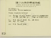 登錄號:F0002065藏品圖，第2張