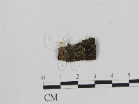 登錄號:F0002065藏品圖，第1張