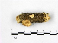 登錄號:F0002073藏品圖，第3張
