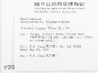 登錄號:F0002075藏品圖，第2張