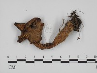 登錄號:F0002076藏品圖，第1張