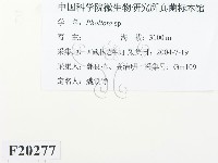 紅菇屬藏品圖，第2張
