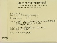 小皮傘屬藏品圖，第2張