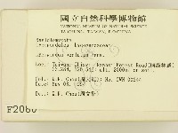 登錄號:F0002080藏品圖，第2張