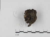 登錄號:F0002082藏品圖，第3張