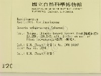 登錄號:F0002083藏品圖，第2張