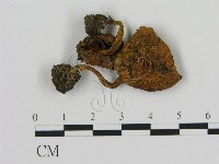 登錄號:F0002083藏品圖，第1張