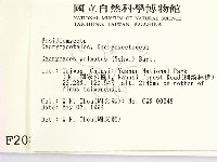 登錄號:F0002084藏品圖，第2張