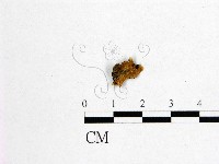 登錄號:F0002084藏品圖，第1張