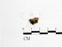 登錄號:F0002084藏品圖，第3張