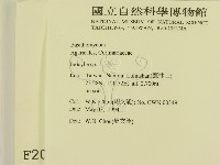 登錄號:F0002085藏品圖，第2張