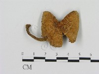 登錄號:F0002085藏品圖，第1張