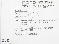 登錄號:F0002086藏品圖，第2張