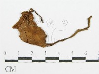 登錄號:F0002086藏品圖，第1張