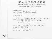 杯傘屬藏品圖，第2張