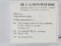 登錄號:F0002088藏品圖，第2張