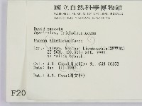 登錄號:F0002089藏品圖，第2張