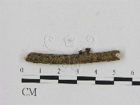 登錄號:F0002089藏品圖，第1張