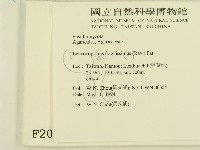 登錄號:F0002090藏品圖，第2張