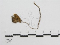 登錄號:F0002090藏品圖，第3張