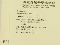 登錄號:F0002091藏品圖，第2張