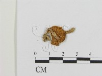 登錄號:F0002091藏品圖，第1張